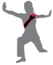 insportline 16340 Waist Belt with Electric Heating SE-Shoulder