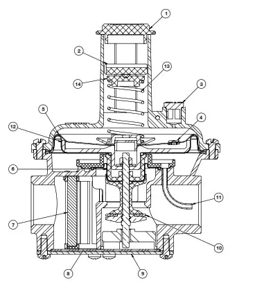 WATTS FGD Series Gas Pressure Governor- INCORPORATED FILTER