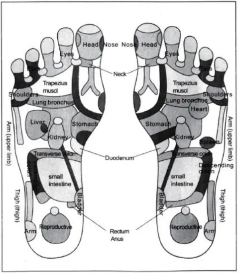 Coopers H725 Vivadia Lower Leg Massager - Foot Massager