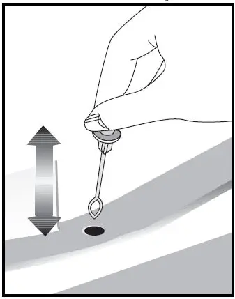 Using your refrigerator 1