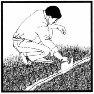 MOSQUITO MAGNET Advanced - trap 2