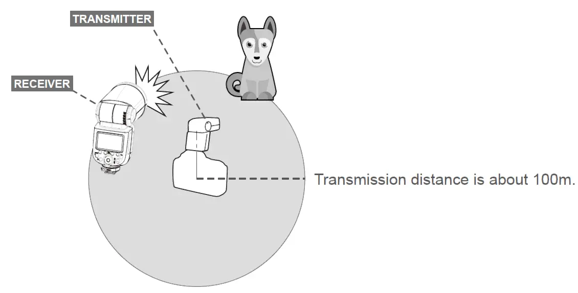 PiXAPRO-GIO1-C-TTL-Li-Ion-Round-Head-Camera-Flash-19