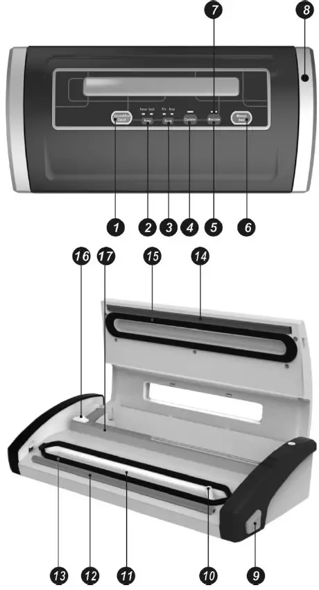 EASYLINE SBS-300P Vacuum Packaging Machine 01