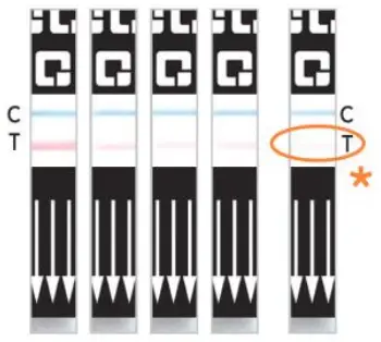 INTERPRETATION OF RESULTS