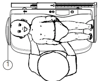 seca-233-Measuring-Ro-FIG-1