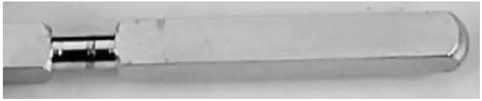 USING THE ROTISSERIE