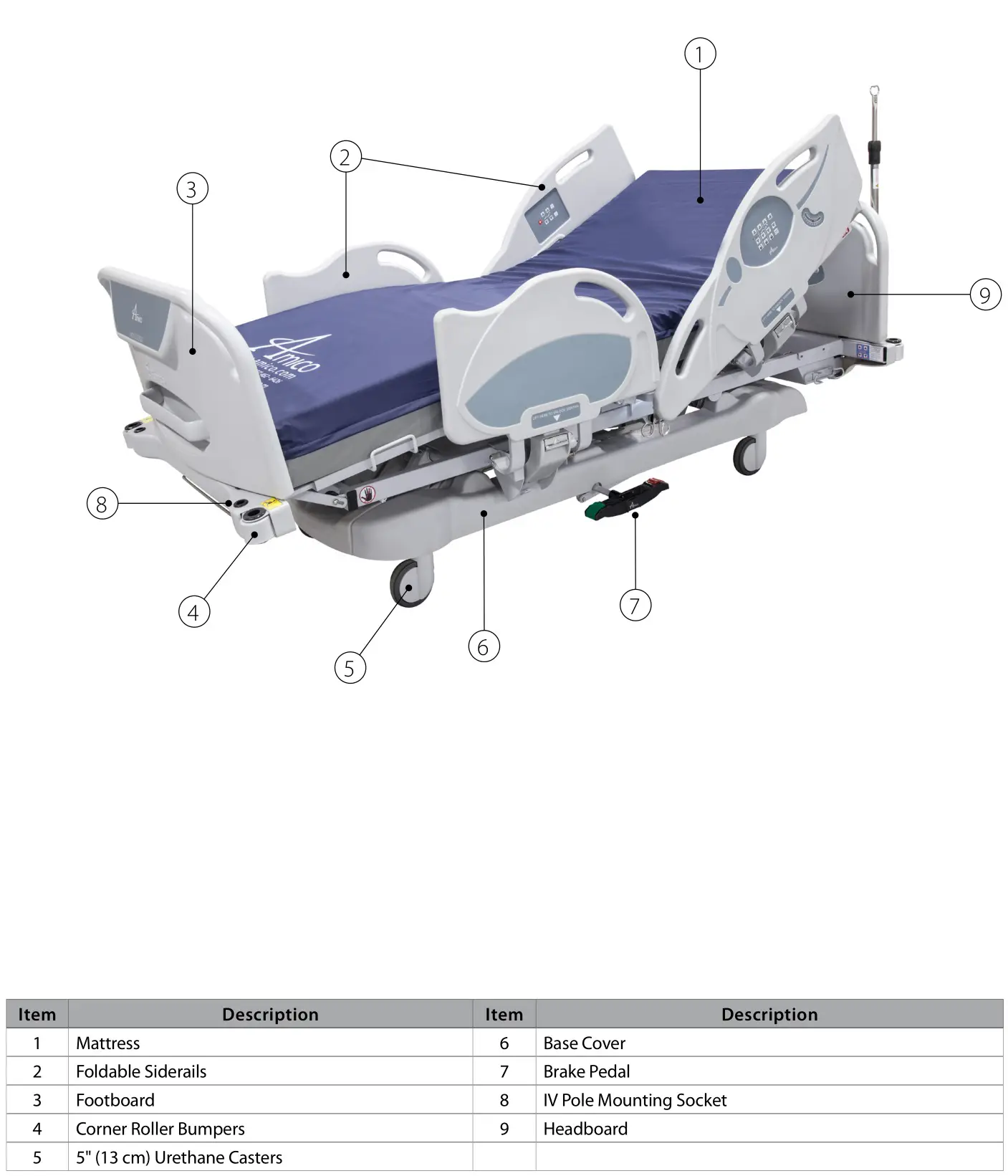 Amico Apollo MS Scale - Features