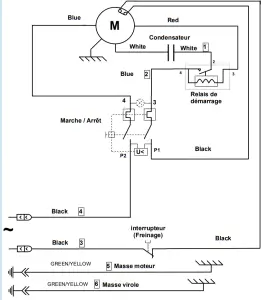 SANTOS EX50 Juice Extractor - Electrical wiring2