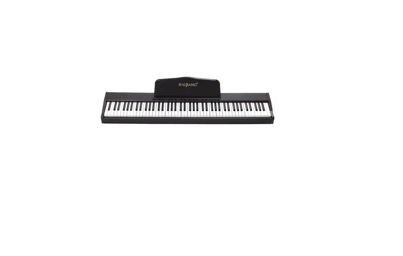 Banggood Dl-100 Portable Digital Piano Instruction Manual