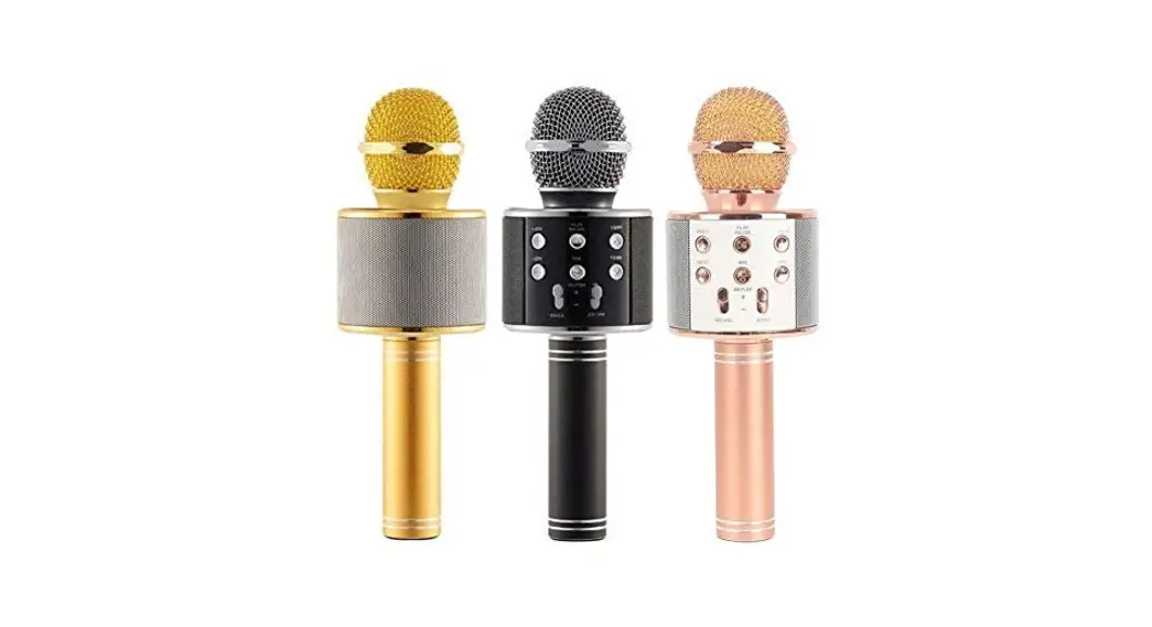 Dgl Group Sa-2pkr Sarina Karaoke Wireless Mic + Built In Speaker User Manual