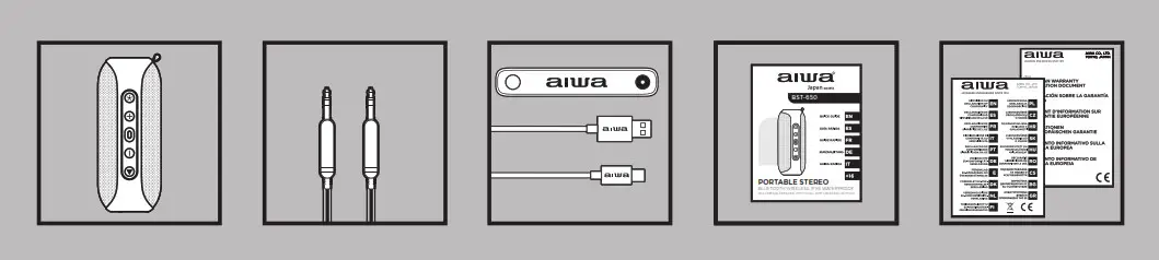 aiwa BST 650 TWS Portable Stereo Speaker with Dual RGB Lighting - WHAT’S IN THE BOX
