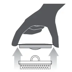 Sage Tea Maker De basket on a flat