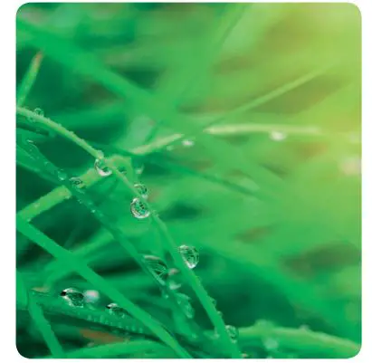 RICOH IM C3000 Full Colour Multi Function Printer-1