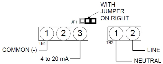 neptronic-DM060S-DM-Actuator-FIG-6