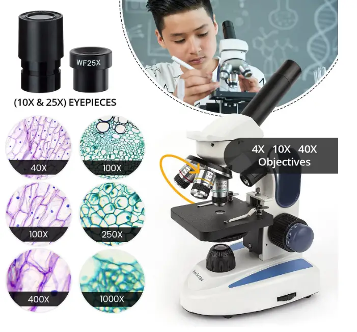 AmScope-M158C-E-Compound-Monocular-Microscope-fig-2