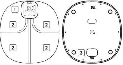 terraillon-Webcoach-Easyview-FIG-3