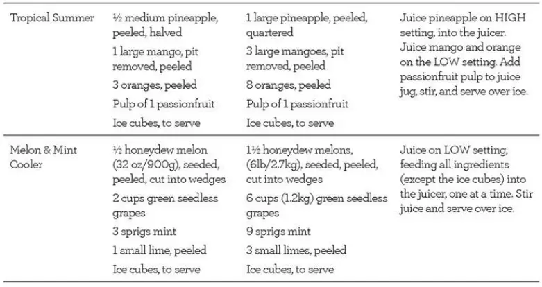 Breville BJE430SILUSC Juice Fountain Cold Juicer-15