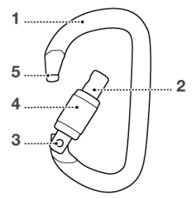 PETZL OXAN Steel Oval Carabiner - 4