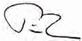 PORTABLE WINCH PCW3000-Li Battery-Powered Pulling Winch - Sceknasar