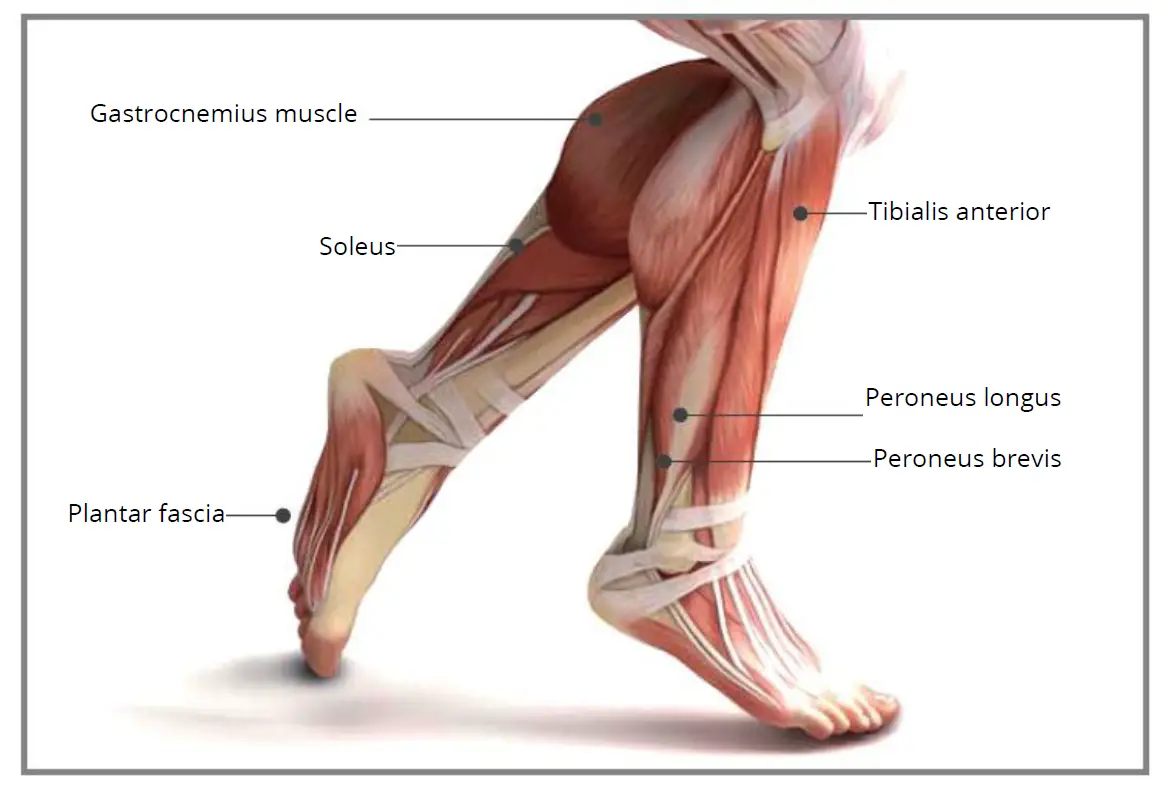 YUNMAI-Fascia-Massage-Gun-Slim-Elegant-FIG-10