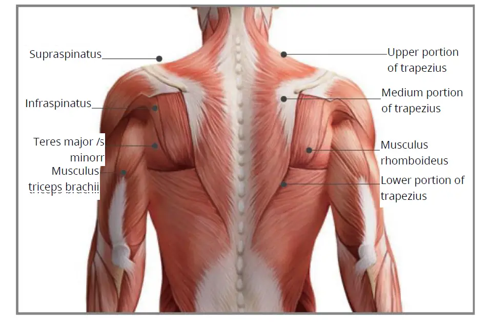 YUNMAI-Fascia-Massage-Gun-Slim-Elegant-FIG-7