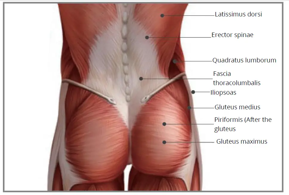 YUNMAI-Fascia-Massage-Gun-Slim-Elegant-FIG-8