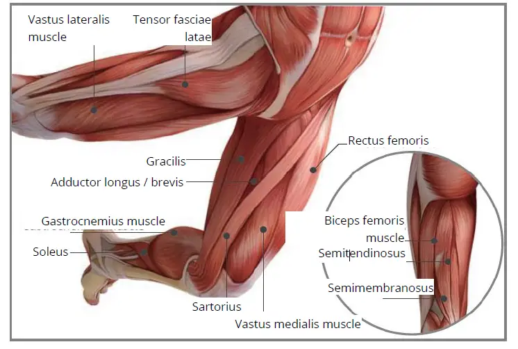YUNMAI-Fascia-Massage-Gun-Slim-Elegant-FIG-9
