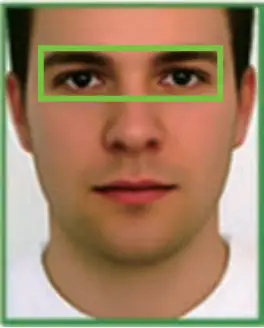 ZKTECO ProBio(QR) - User Registration 3a