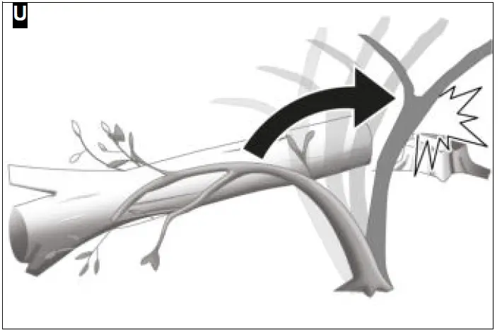 KARCHER CNS 18-30 Battery-Powered Chain Saw 21