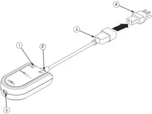 The Recorder at a Glance