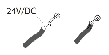 NEMO-STUDIO-ZIRKOL-C-WALL-Pendant-Light-8