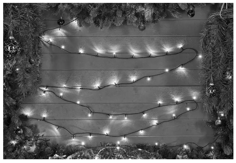 EKVIP 022464 String Lights-fig1