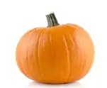 Mini Pumpkin