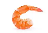 SHRIMP