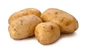 Potato