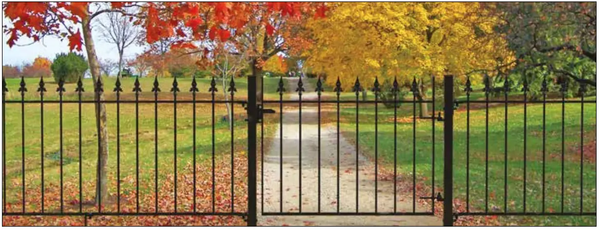 FORTITUDE Ready to Install Steel Railings - SINGLE GATES