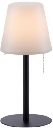 Paul Neuhaus 19753 LED Table Lamp-FIG1