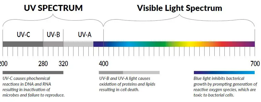 CARTONI-UV-C-Boxer-LED-fig 1