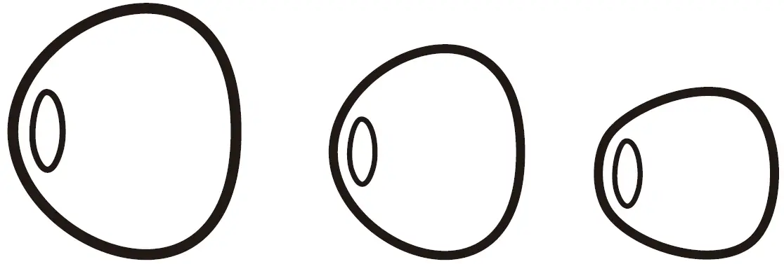 Replaceable Rubber Ear Caps