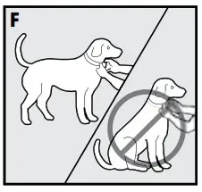 PetSafe PIF-275-19 Wireless Pet Containment System Receiver Collar - 5