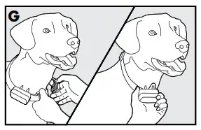 PetSafe PIF-275-19 Wireless Pet Containment System Receiver Collar - 6