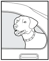 PetSafe PIF-275-19 Wireless Pet Containment System Receiver Collar - 9