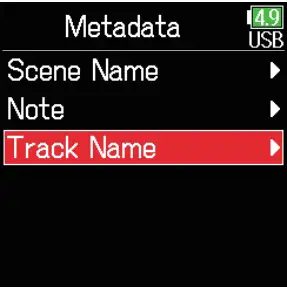 Changing The Track Name