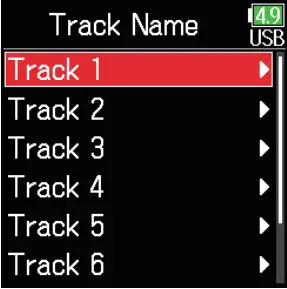 Changing The Track Name