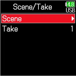 Checking and editing scene names