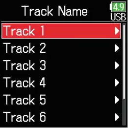 Checking and editing the track names