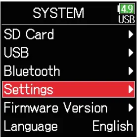 Date and Time Setting Inductions