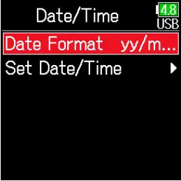 Date Format Setting