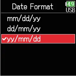 Date Format Setting