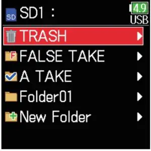 Emptying the TRASH/FALSE